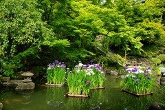 120615Ĺë���ϥʥ��祦��