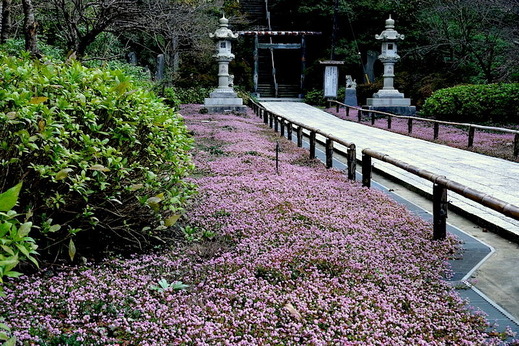 141030��Ĺ���ҥ��ĥ���2