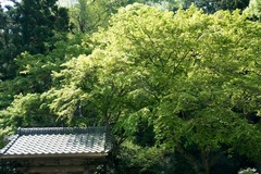 110420̯�ܻ�����2