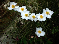 181024�繪�����奦�ᥤ����