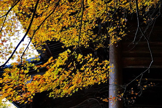 211230̯�ܻ�����1