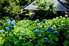 120604Ĺë������������