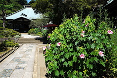 160807��¢���ե襦