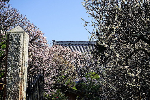 190305����������3