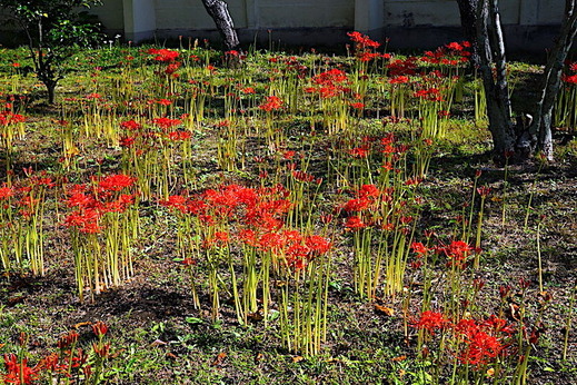 190925�Ѿ����ҥ���Х�1