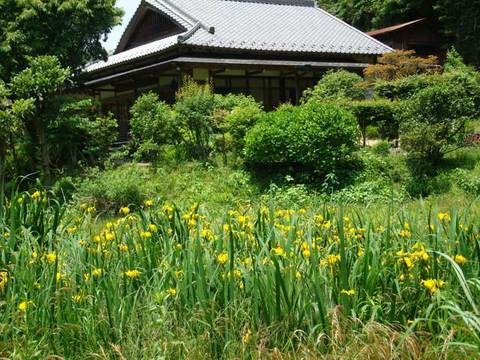 090526��Ĺ�������祦��