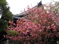 100414�ܳл��䥨������