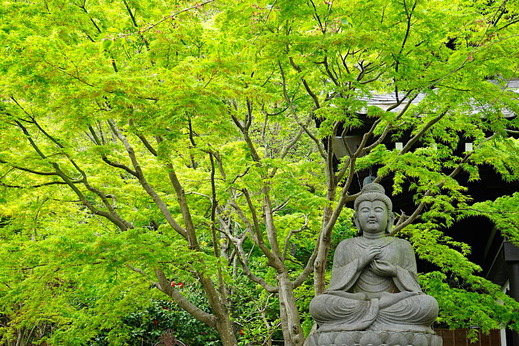 210406Ĺë������2