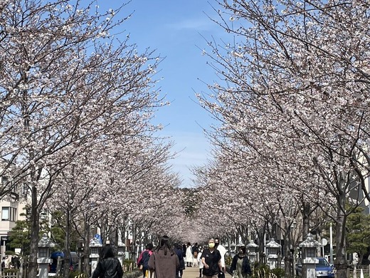 220328�ʳ륵����3