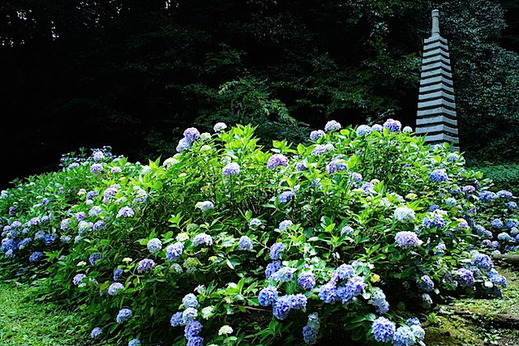 150625�¹�������������1