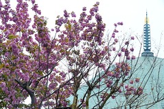 150420�ܳл��䥨������