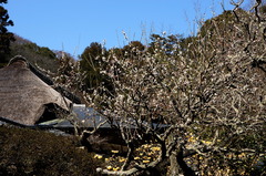 170305���һ�����2