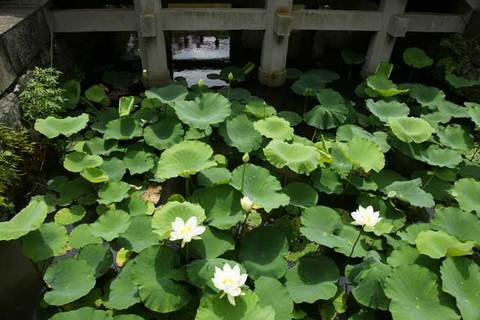 090719��ʿ�ӥϥ���