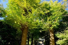 141119�߳л�����