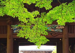 211104̯�ܻ���ŷ��1