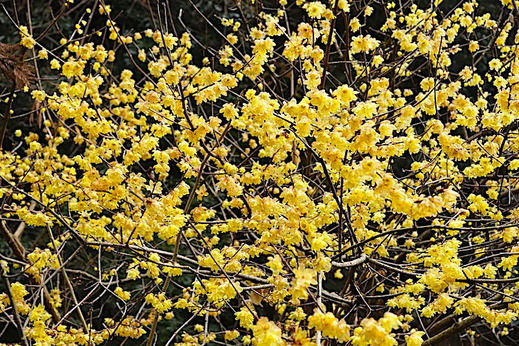 200115��������Х�2