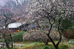 140305��Ļ�����1