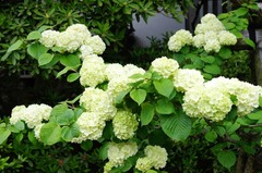 120425Ĺë�������ǥޥ�