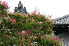 090801�ܳл����륹�٥�