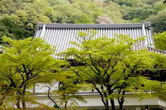 160411�߳л�����4