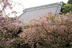 120422̯�ܻ��䥨������