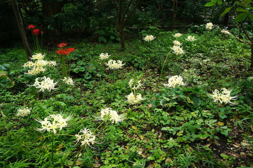 160926�����������ҥ���Х�