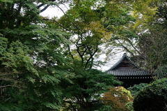 151118̯�ܻ��ˤ�1