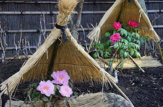 140112�ܤ����1