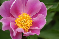 080512ζ�������㥯�䥯1