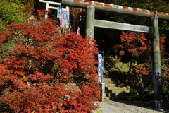 131127建長寺半憎坊紅葉