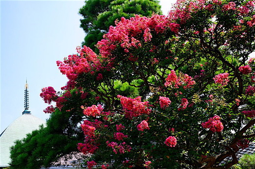 160810�ܳл����륹�٥�