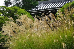 14101115���ܱ�������