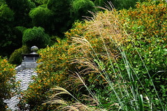 160929�߱�������⥯����2