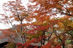 121130�߳л�����2