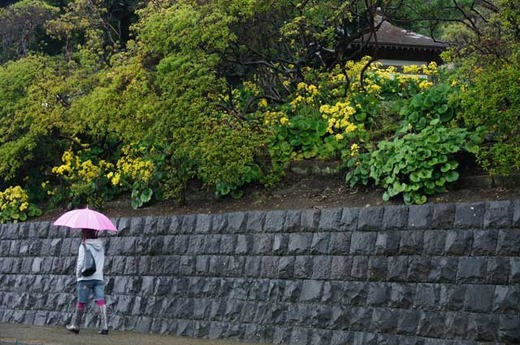 121123���ܱ��ĥ�֥�