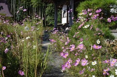 121012�罡�������⥹