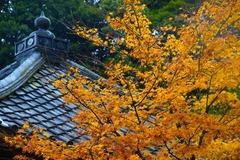 141221����������1