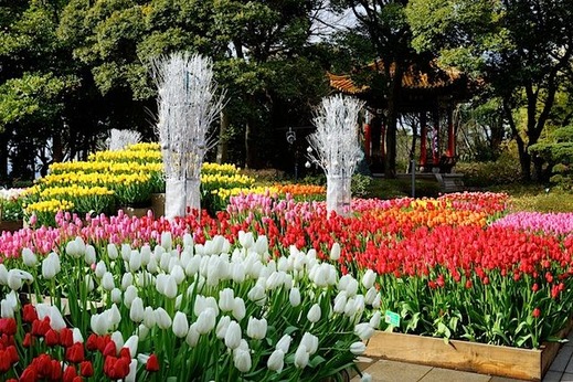 151227��������塼��å�2