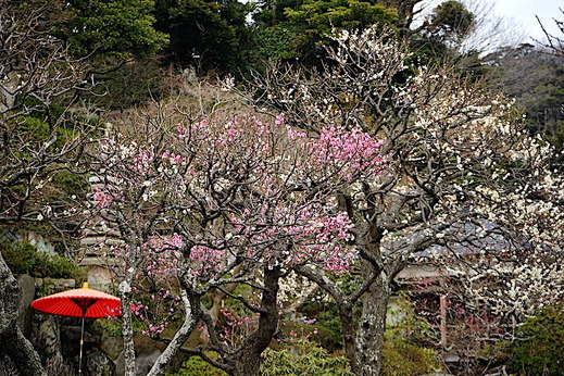 190216Ĺë������2