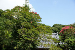 080816�ߵ׻����륹�٥�