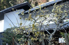 120111��Ļ������Х�