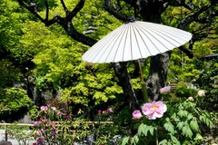 150416Ĺë���ܥ���