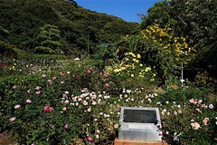 151104����ʸ�شۥХ�1