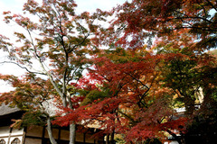 101120�߳л�����4