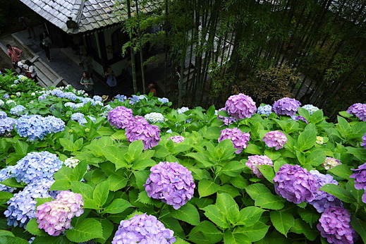 170622Ĺë����������2