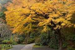 141221����������4