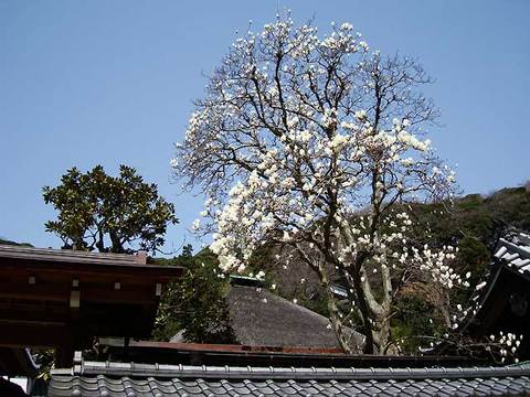 090321�߳л��ϥ��⥯���