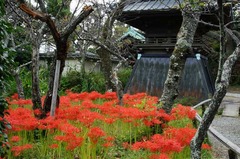 111001�Ѿ����ҥ���Х�2