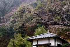 100306�߳л�����