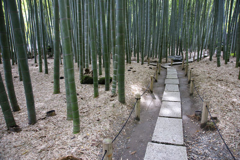 081018��������